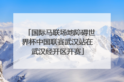国际马联场地障碍世界杯中国联赛武汉站在武汉经开区开赛